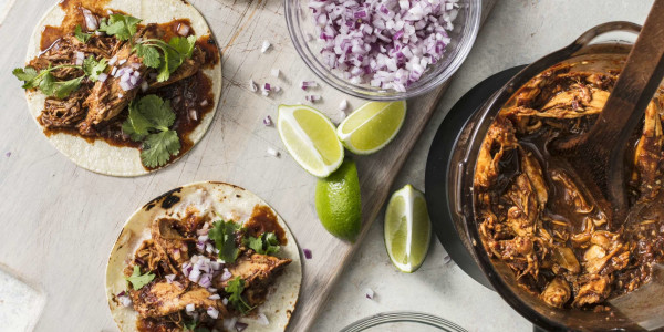 Recipes for the Instant Pot Ace Blender All About the Instant Pot Ace Blender